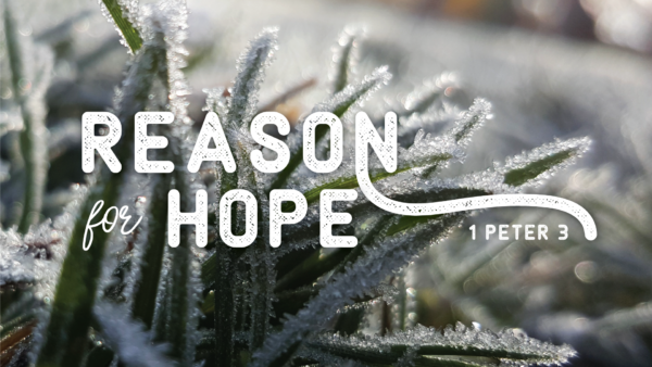 Reason for Hope