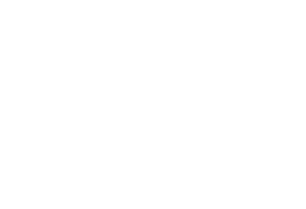 High School Logo